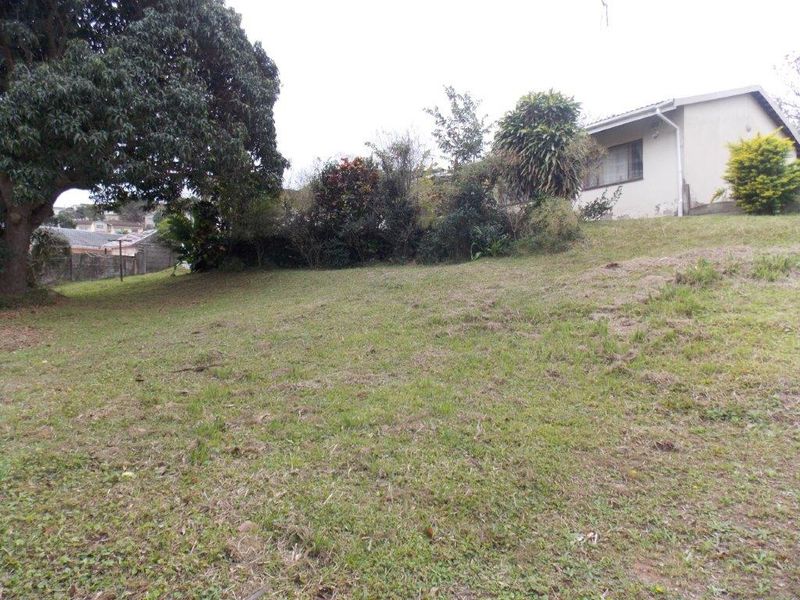 A sloped backyard area featuring a large lawn, mature trees, and established perimeter walling, offering potential for landscaping.