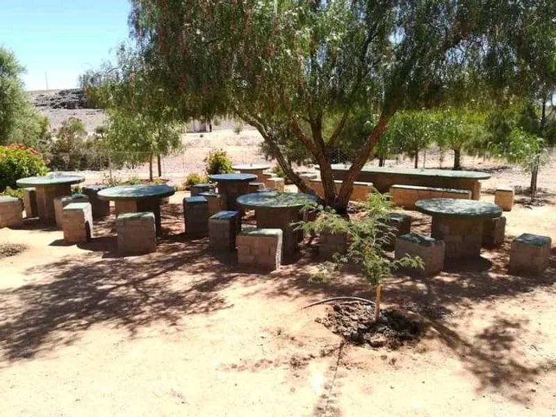 Farm / Business - “BILTONGPLAAS” for Sale! - Photo 9