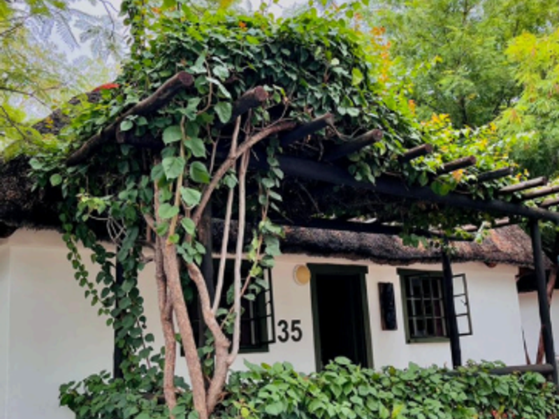 Hotel with Casino Licence Eligibility - Photo 6