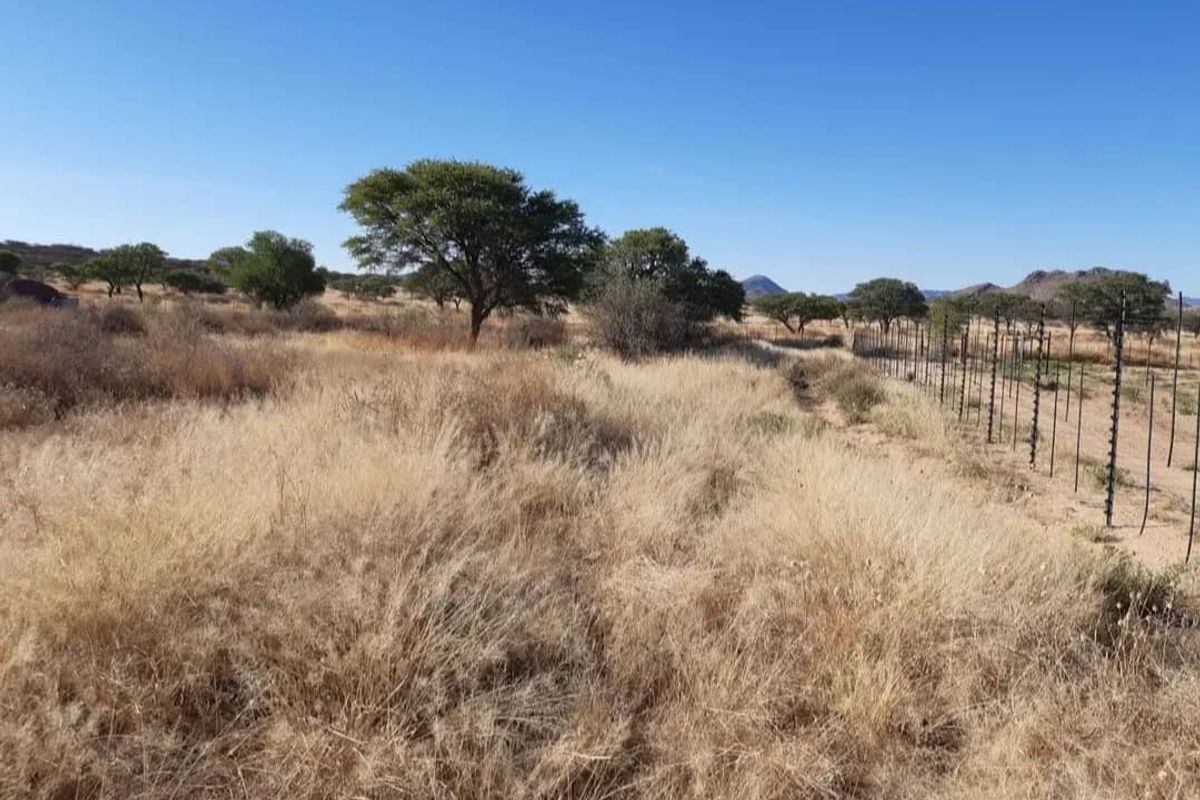 Two Spacious 1600 sqm Plots with Reliable Borehole Water - Photo 2