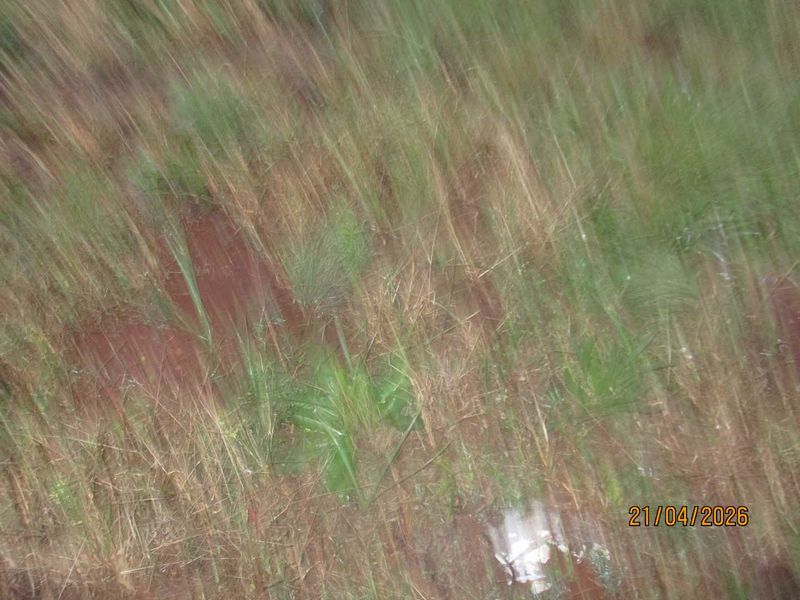 Enjoy the tranquility of Henley - Photo 2