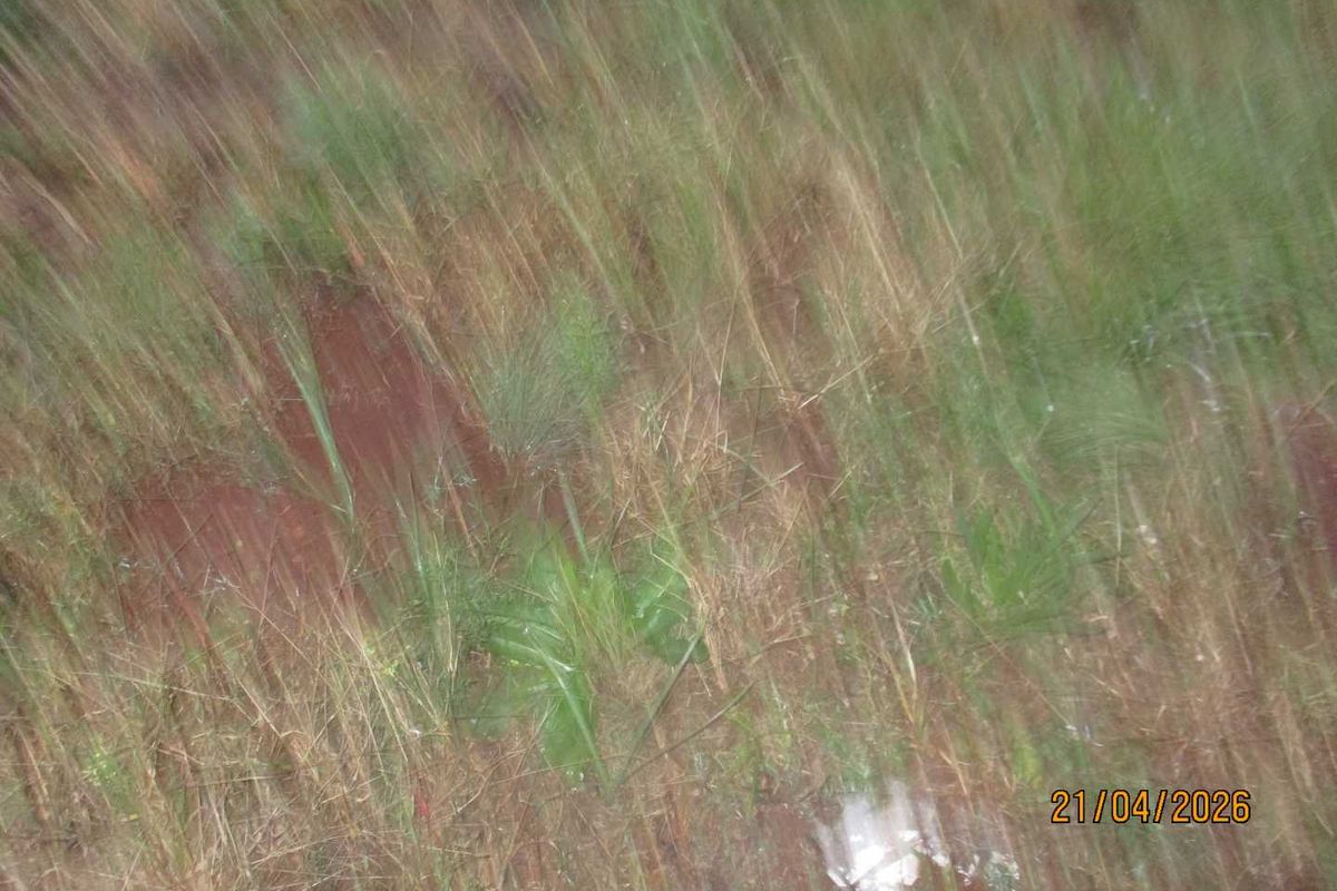 Enjoy the tranquility of Henley - Photo 2