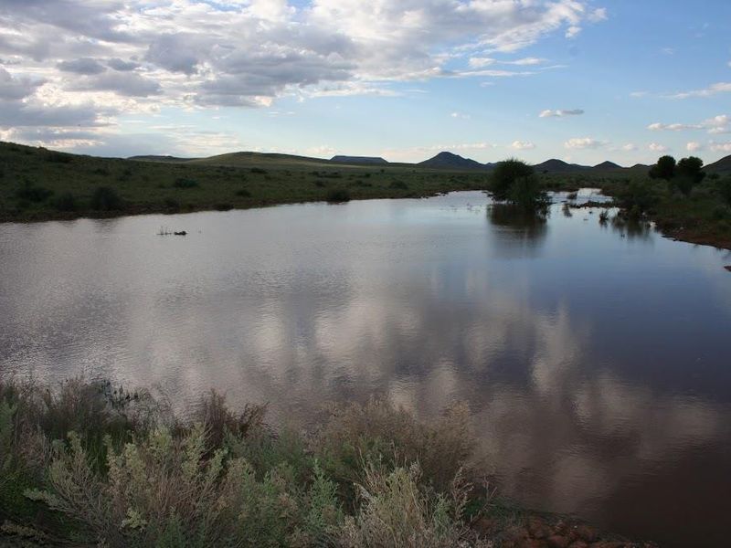 A scenic view of a natural dam on the farm, surrounded by rolling hills and open landscape.