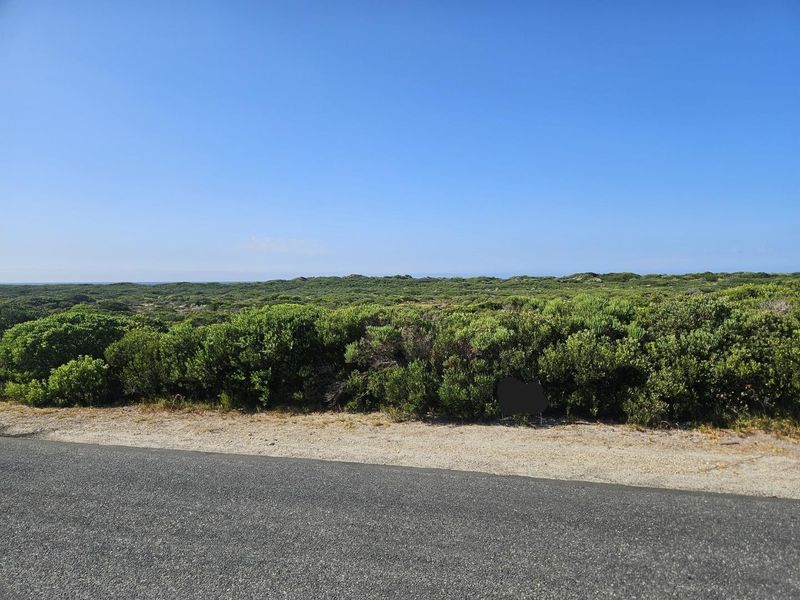 Business Opportunity - Photo 2