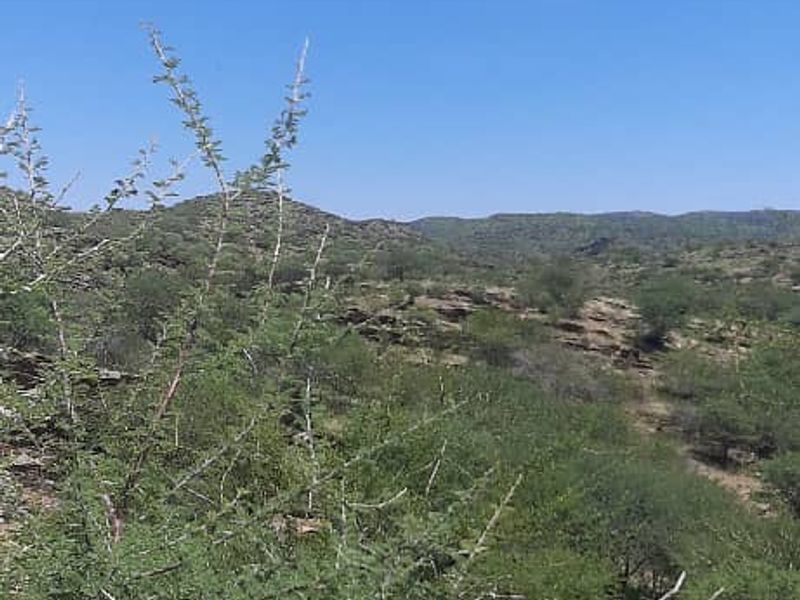 Agricultural Farm with Diverse Potential - Photo 4