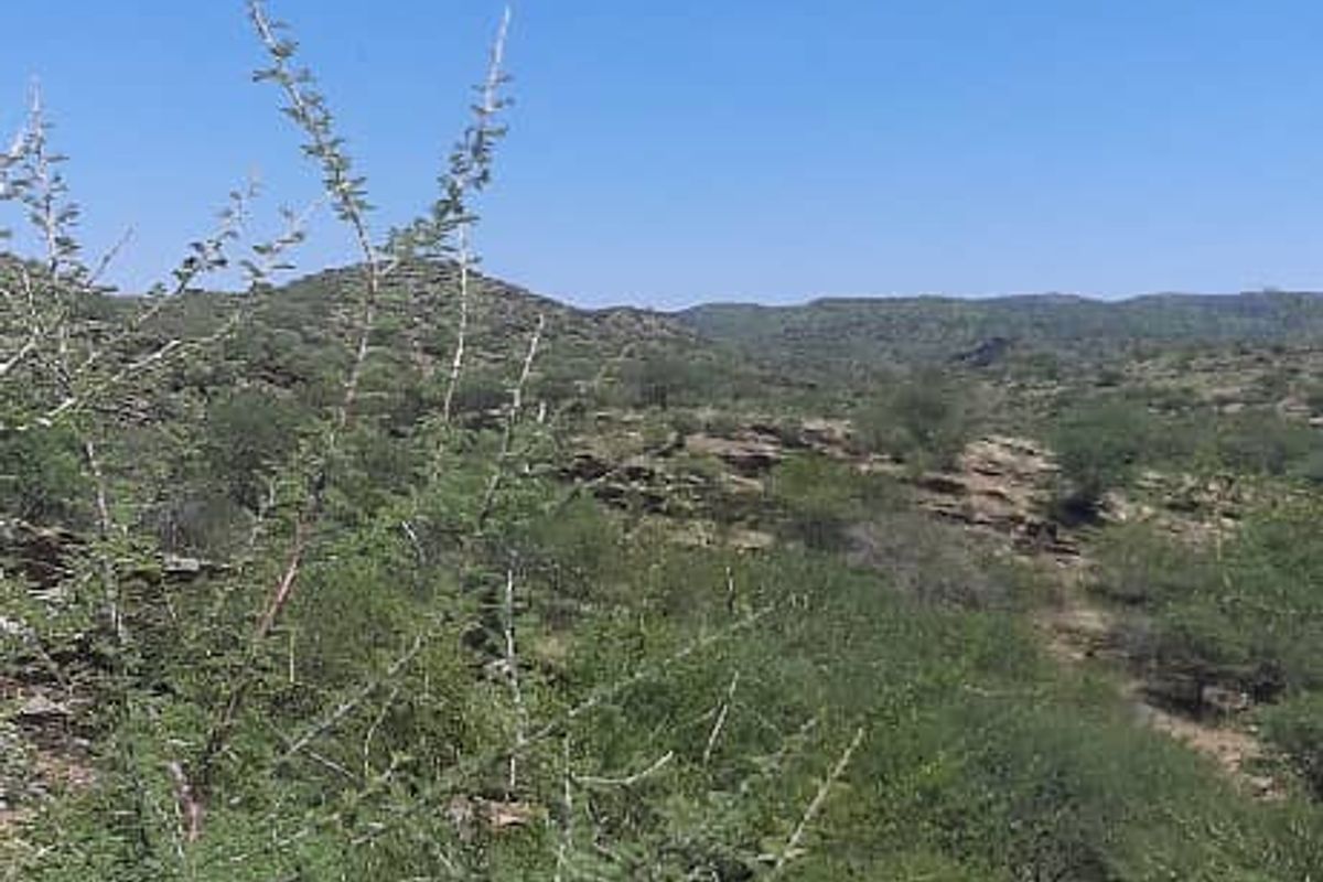 Agricultural Farm with Diverse Potential - Photo 4