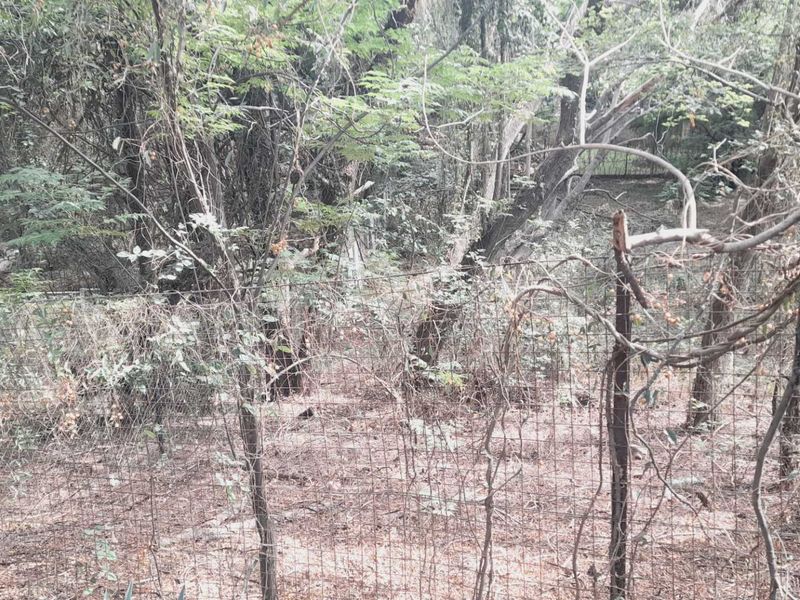 Tranquil & Convenient: Your Future Starts Here - Photo 5