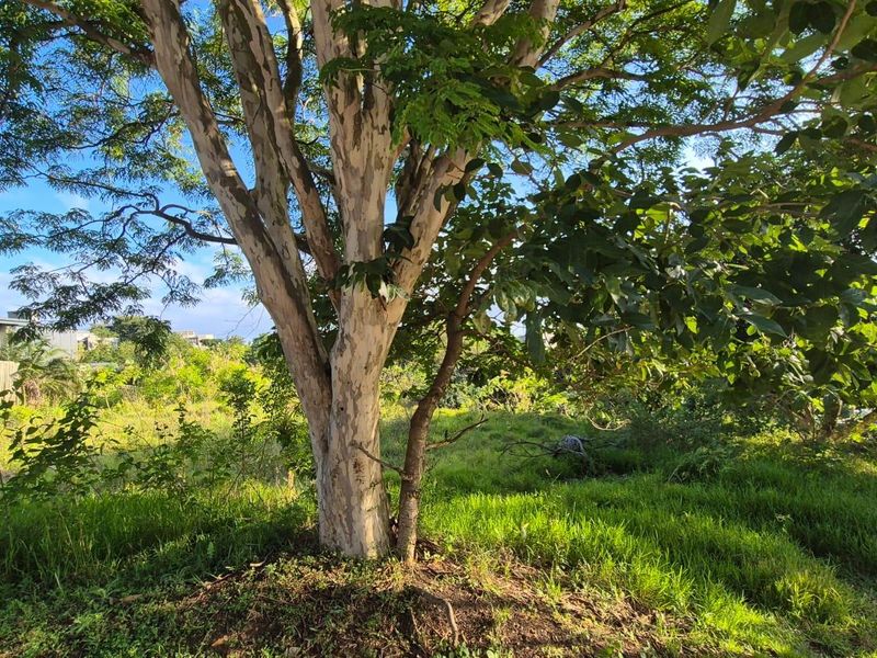 Build your own dream Home - Photo 10