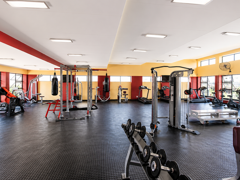 A spacious, well-lit gym facility featuring durable rubber flooring, large windows for natural light, and a variety of fixed strength and cardio training equipment.