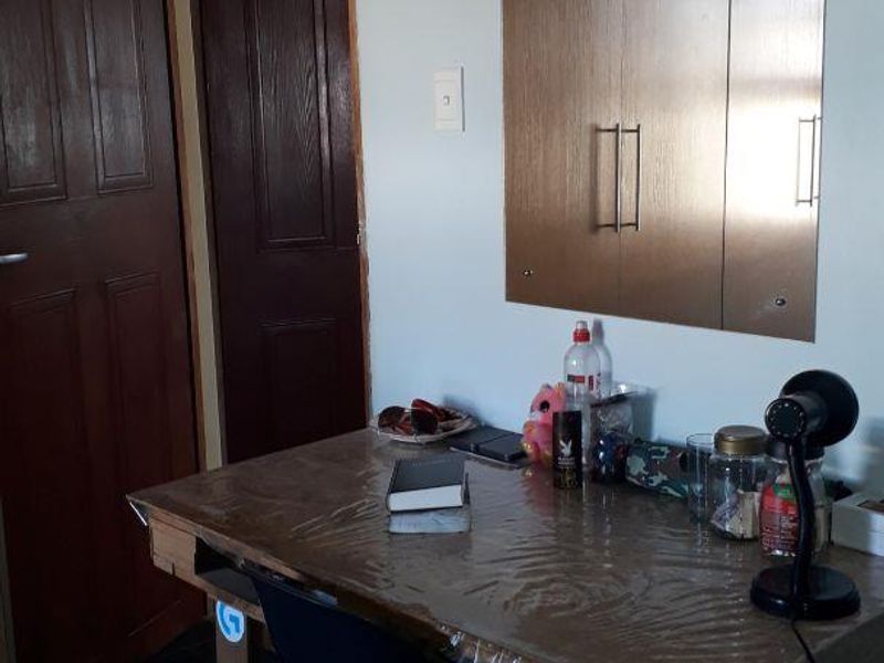 VERY WELL-PRICED SMALLHOLDING! - Photo 10