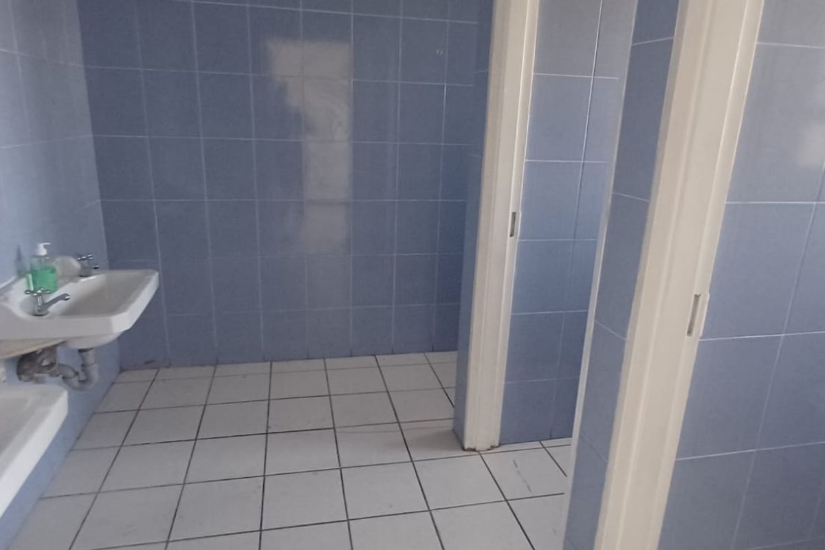 PAROW | WAREHOUSE & SHOWROOM TO LET - Photo 4