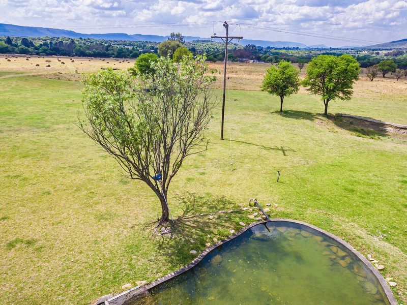 Exceptional 44-Hectare Agricultural , Multiple living, Farm for Sale – Hekpoort - Photo 8