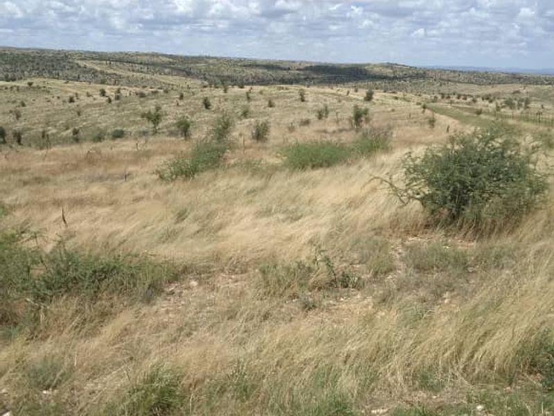 21 HA PLOT FOR SALE, KHOMAS HOCHLAND, NAMIBIA - Photo 8