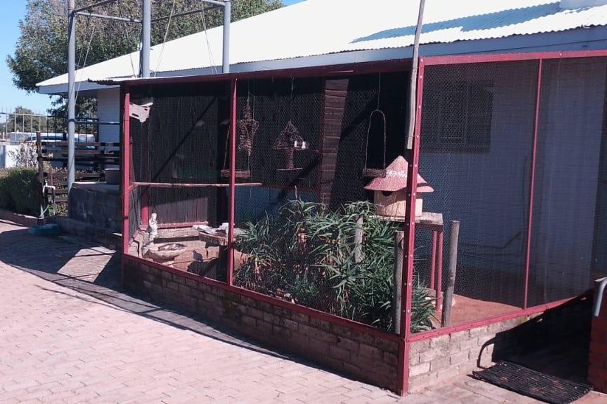 VAT REGISTERED EGG / LIVESTOSCK  FARM  STABIL HUGE INCOME PER MONTH - Photo 4