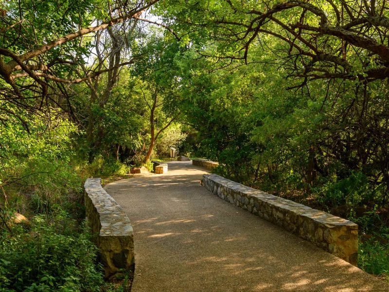 Stand in The Woods at Steyn City – One of the Estate’s Best Positioned Stands - Photo 9