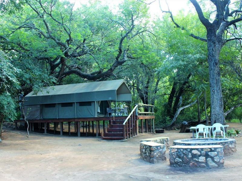 A raised canvas tent structure set on a timber deck, featuring an outdoor stone fire pit area nestled within a natural wooded environment.