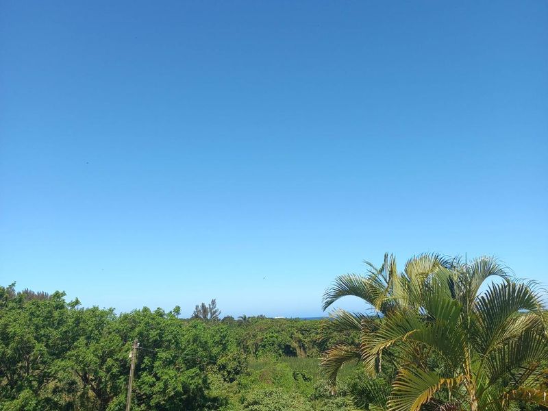 A scenic outdoor view featuring lush green trees and a clear blue sky.