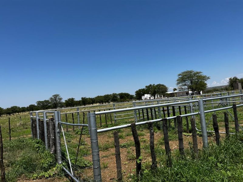 Immerse yourself in the charm of rural living – our stock farm invites you to embrace a life surrounded by nature, livestock, and the simple joys of the country - Photo 5