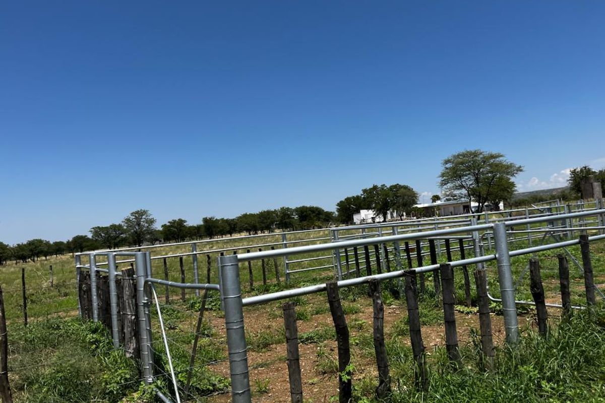 Immerse yourself in the charm of rural living – our stock farm invites you to embrace a life surrounded by nature, livestock, and the simple joys of the country - Photo 5