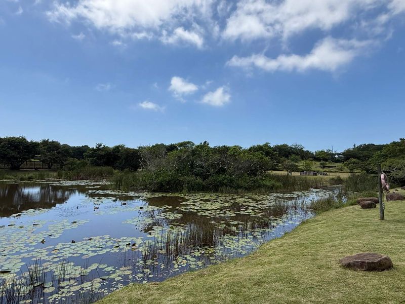 Manor Estate Vacant Land - Photo 10