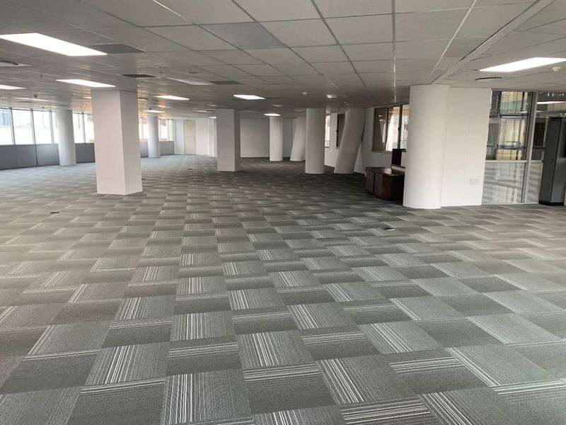A spacious, open-plan office area featuring a suspended ceiling, recessed lighting, and durable carpet tiles, offering a versatile workspace layout.