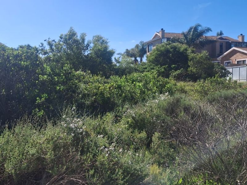 A view of a vacant residential plot featuring dense, established native vegetation and shrubs with surrounding residential properties in the background.