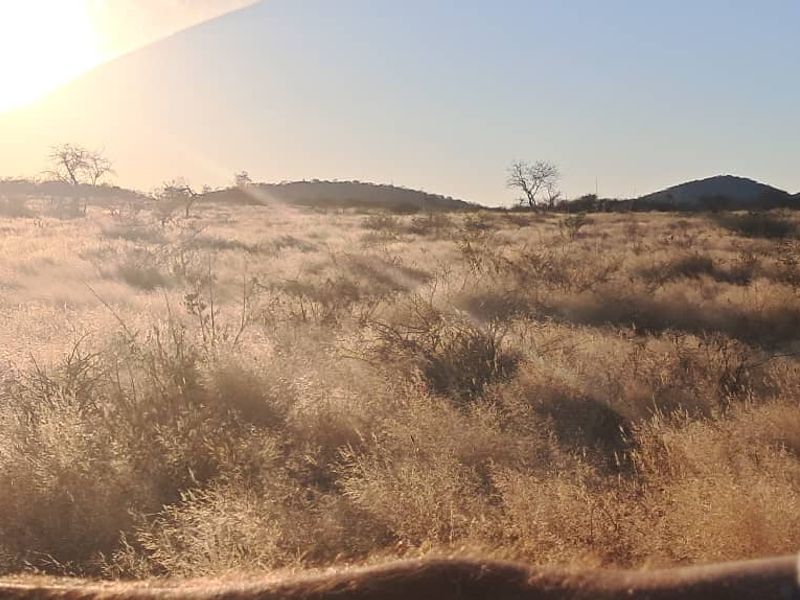 150HA PLOT, OUTJO - FOR SALE - Photo 6