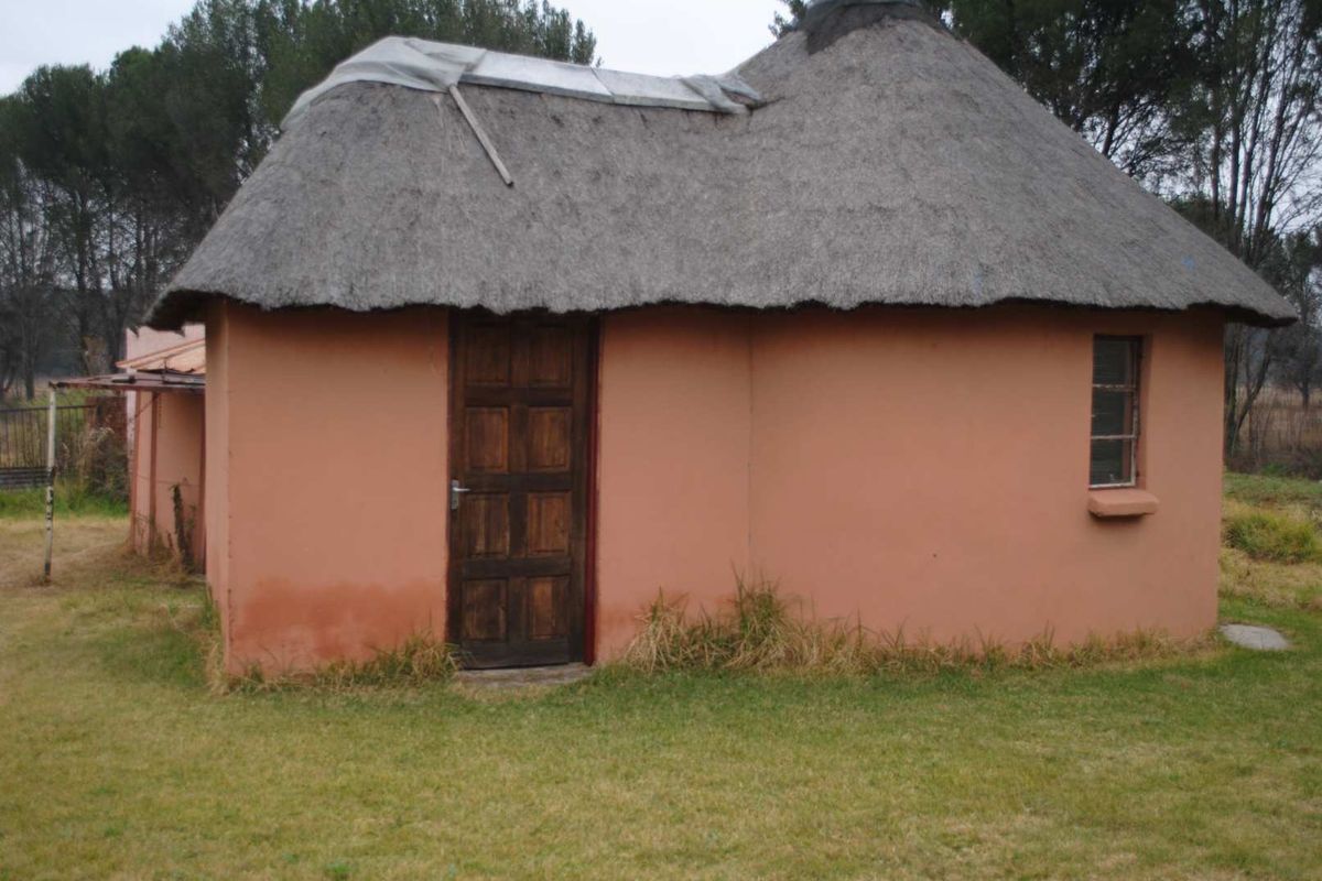 A small rustic outbuilding featuring a traditional thatched roof with visible damage and temporary repair, set within a grassy garden area.