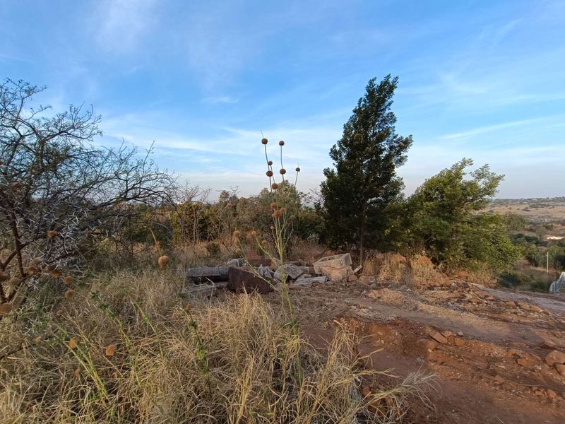 A view of a vacant residential plot featuring natural vegetation and some scattered debris on the ground.