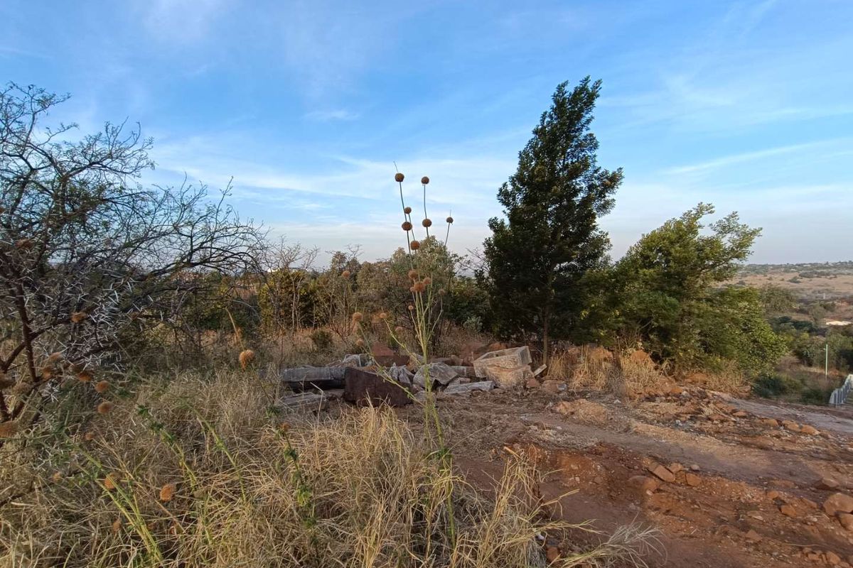 A view of a vacant residential plot featuring natural vegetation and some scattered debris on the ground.