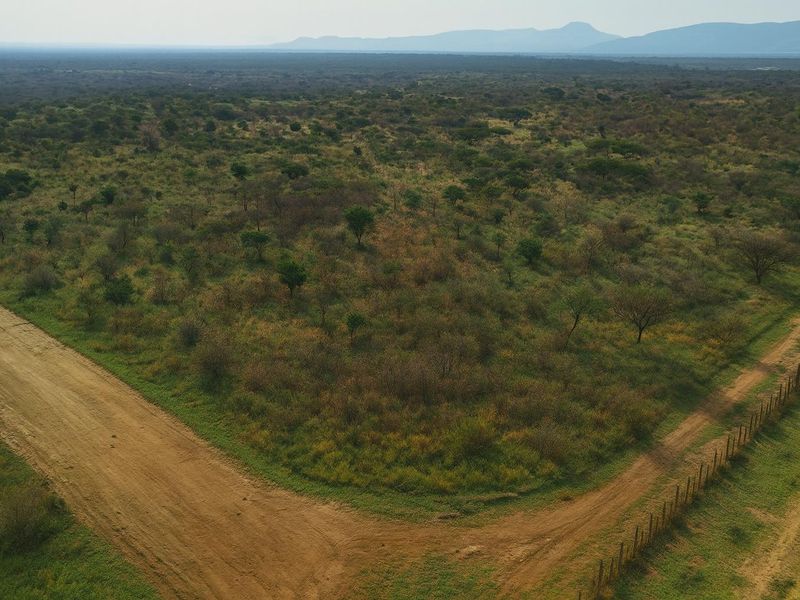 Move-in-ready 1,000ha farm within the municipal area — full ownership for foreign buyers (no waiver needed). - Photo 3