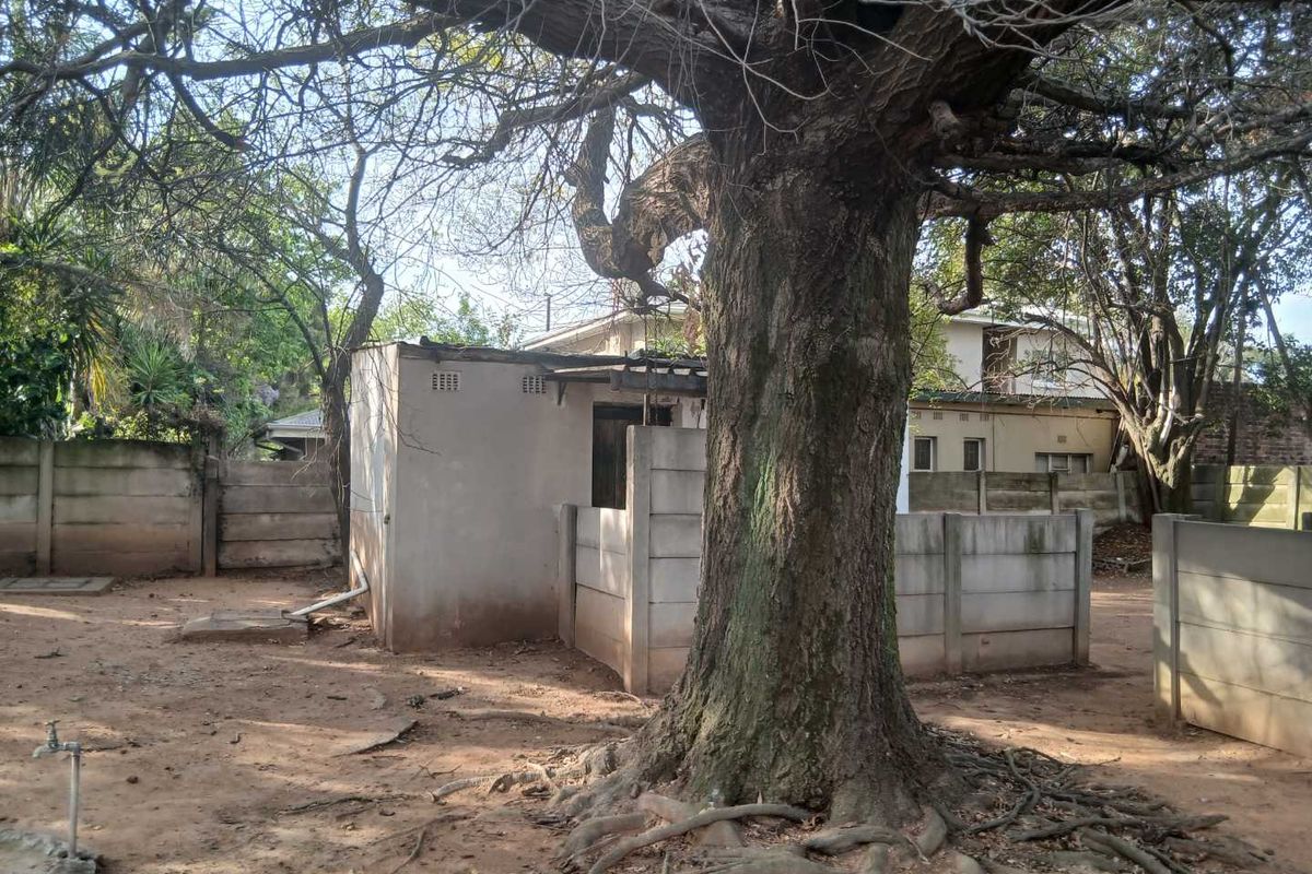 Rear yard area featuring a mature tree, precast concrete boundary walls, and a small outbuilding structure with an external water tap.