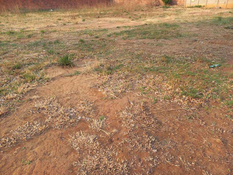 Build your Dream Home - Photo 4