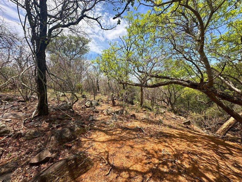 Elevated Stand with Views in Canyon Game Reserve. - Photo 10