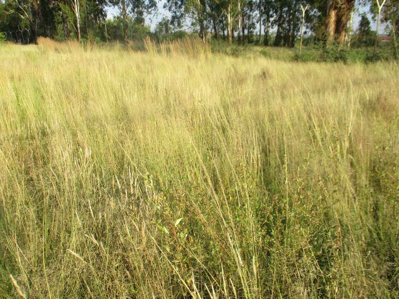 Henley Country lifestyle - Photo 4