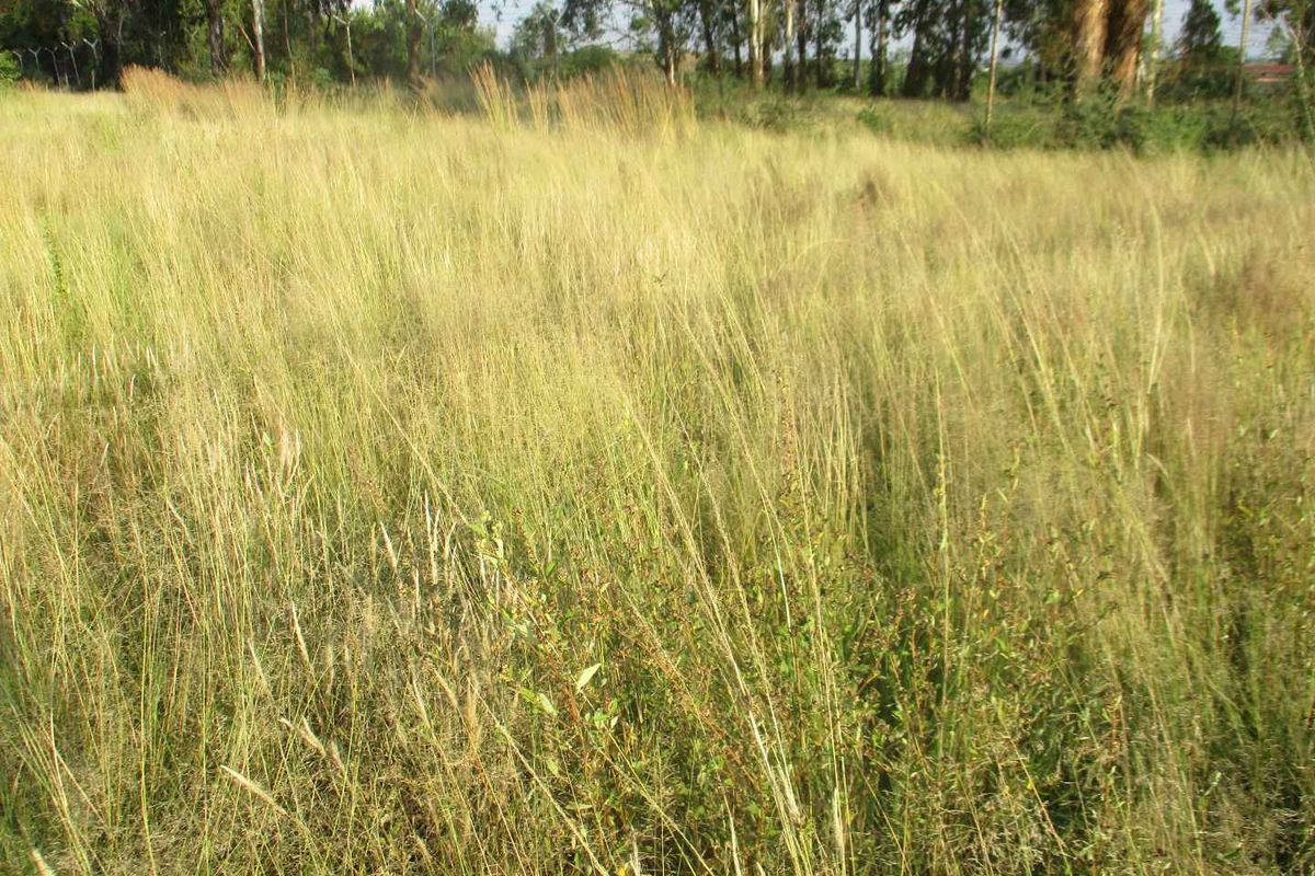 Henley Country lifestyle - Photo 4