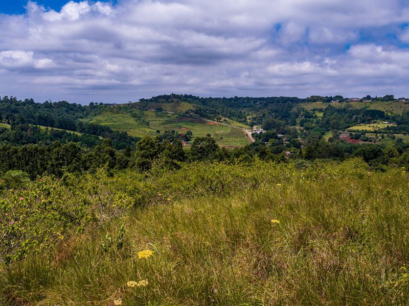 A scenic view of the surrounding natural landscape, featuring rolling hills and lush vegetation, showcasing the property's elevated position.