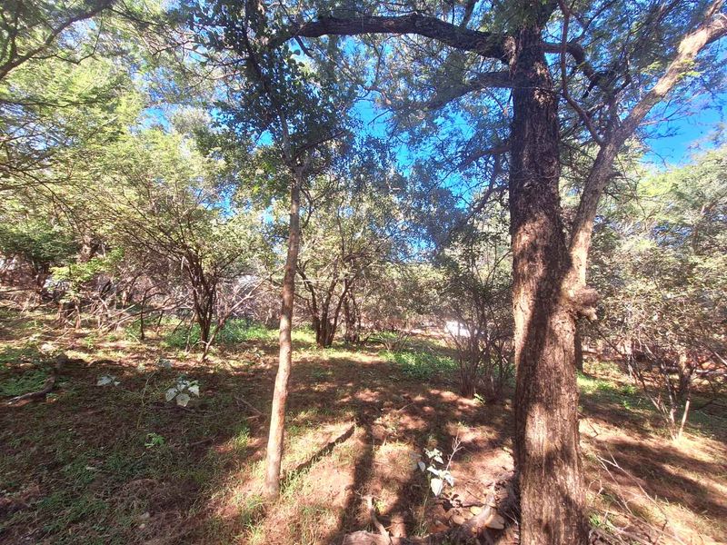 Prime 800m2 Plot in Leeupoort - Tranquil Retreat - Photo 10