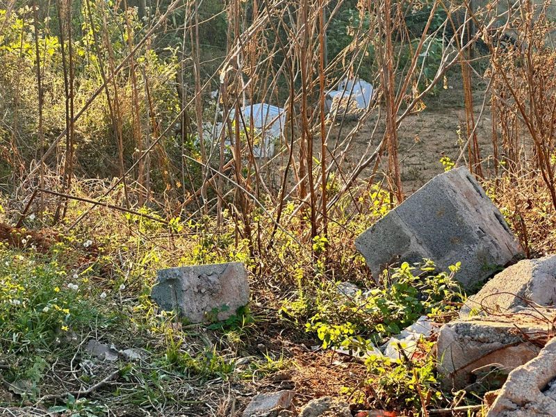 Vacant Land for Sale in Bothas Hill (kaNyuswa) - Photo 5