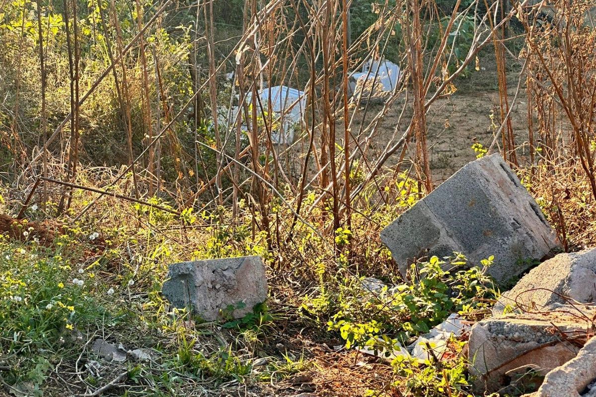 A view of an overgrown plot of land featuring scattered concrete debris and dry vegetation.