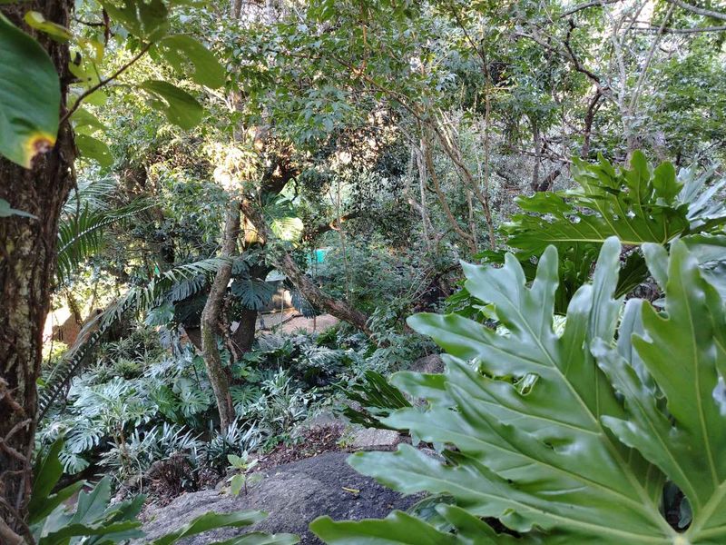 Stunning 5-Bedroom Haven in a Lush Tree-Rich Garden Oasis - Photo 3