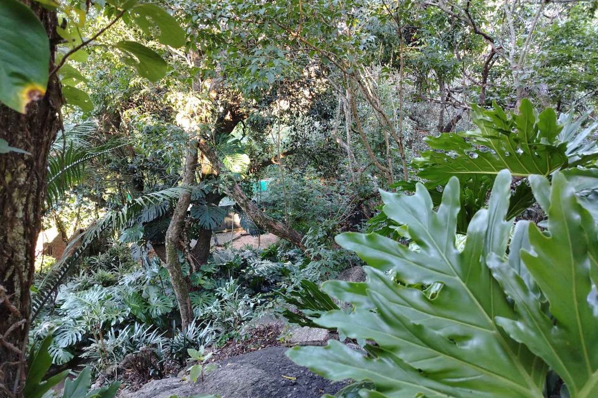 Stunning 5-Bedroom Haven in a Lush Tree-Rich Garden Oasis - Photo 3