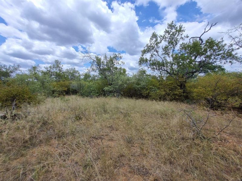 A view of a vacant residential plot featuring natural grass cover and established indigenous trees.