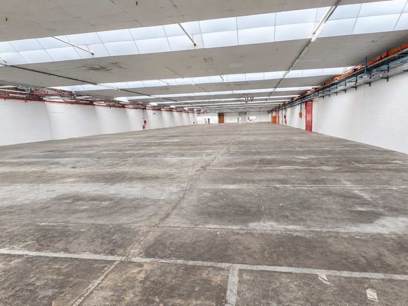 Expansive industrial warehouse space featuring high ceilings with integrated skylights, durable concrete flooring, and exposed fire suppression systems.