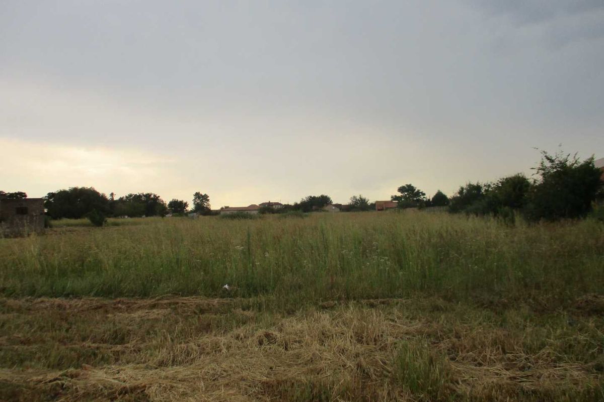 A view of a vacant residential plot featuring open grassland and surrounding neighborhood vegetation.