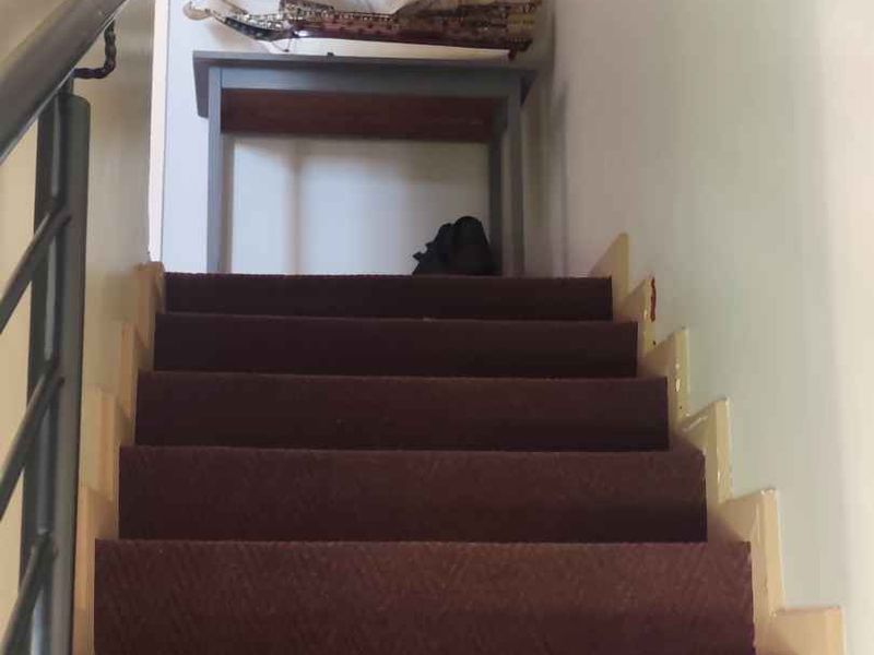 A staircase with carpeted steps and a metal handrail leading to an upper landing area.