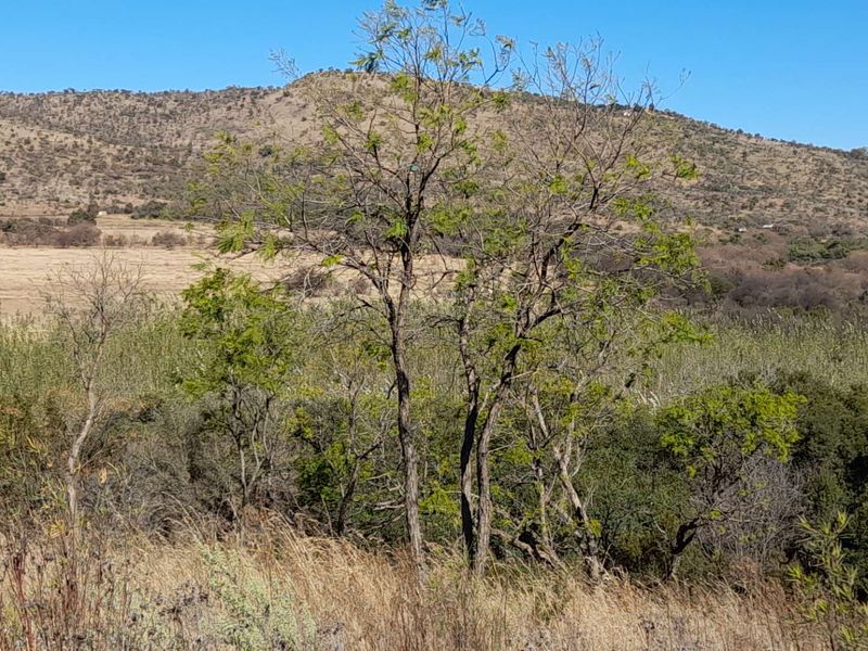 Prime 4,175m2 Stand in Xanadu Estate with Stunning Mountain Views - Photo 6