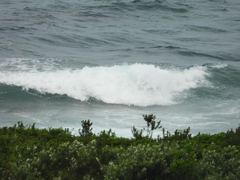 Seaton Charming Empty Stand - Photo 5
