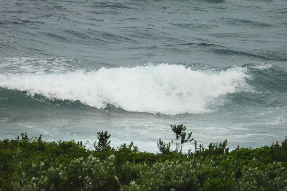 Seaton Charming Empty Stand - Photo 5
