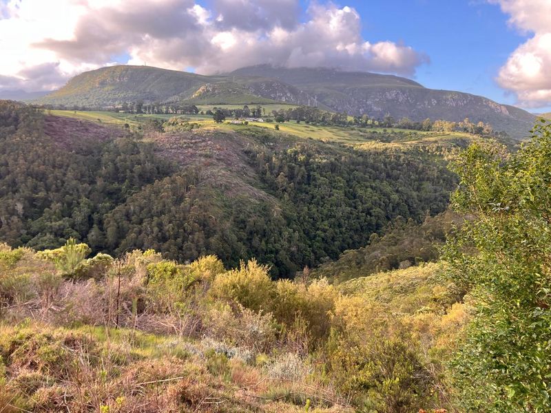 ***Local or International : Build your eco-friendly home in Hoekwil with Scenic views of the River and Mountains*** 3.6 Hectares - Photo 2